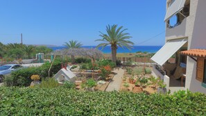Property grounds - Villa Katerina (Sitia)