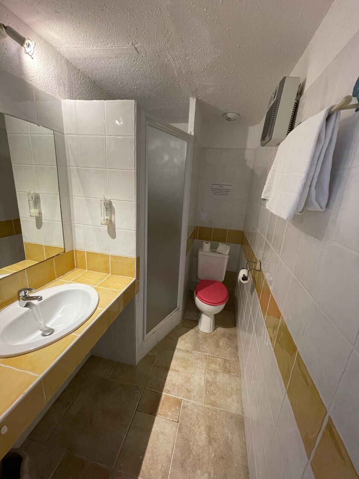 Une salle de bain avec un lavabo, des toilettes et une douche.