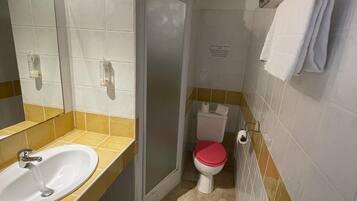 Une salle de bain avec un lavabo, des toilettes et une douche.