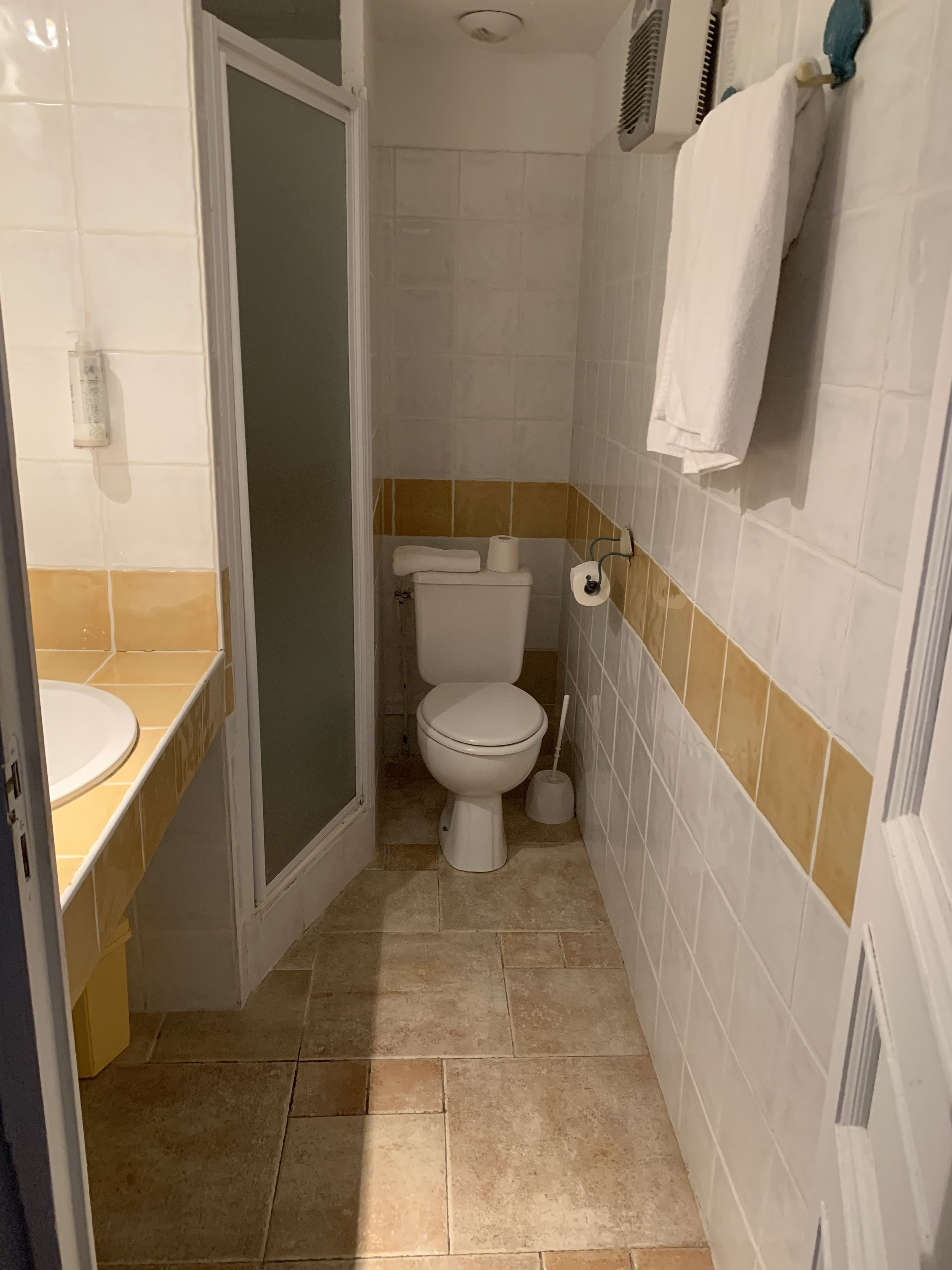 A small bathroom with a toilet, a sink, and a shower.
