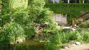 Un hotel con un jardín exuberante, un pequeño estanque y un letrero que indica que es un restaurante.