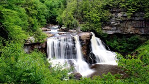 Une cascade entourée d’une forêt verdoyante et luxuriante.
