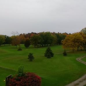 Deluxe Room, 2 Queen Beds | View from room