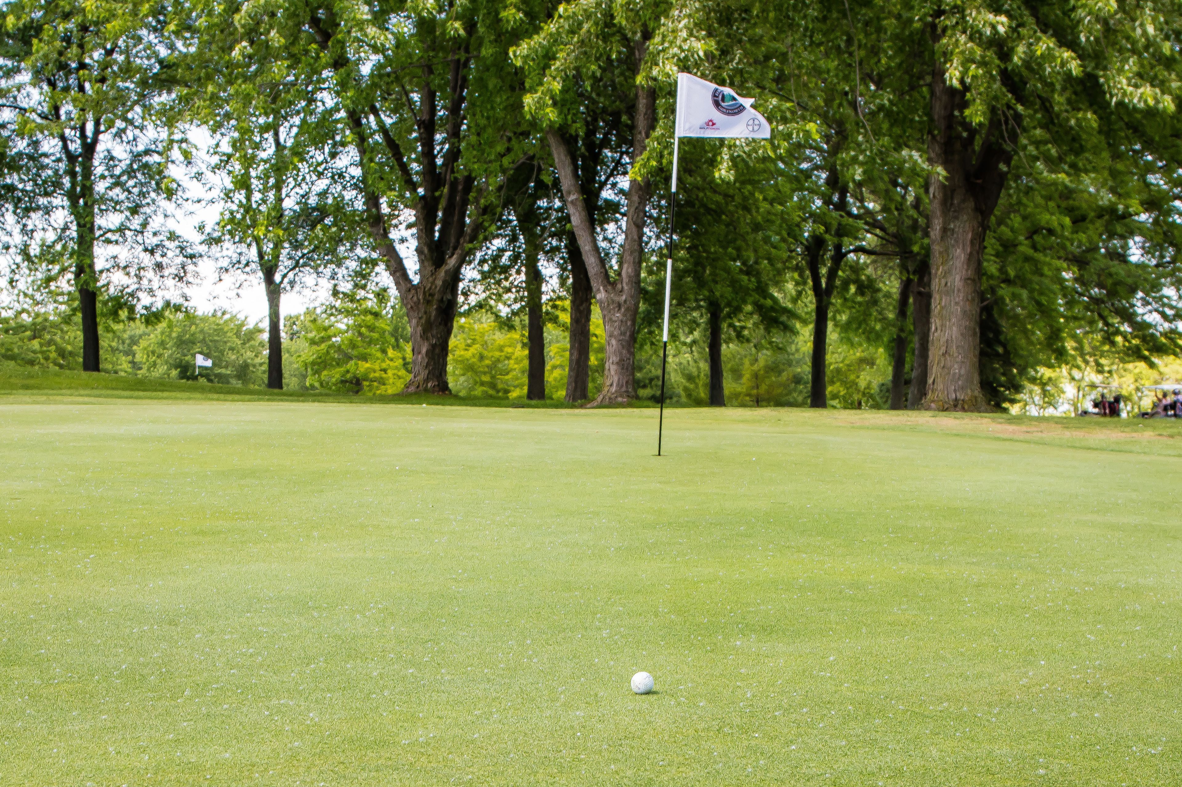 Un parcours de golf avec un mât de drapeau, des arbres et un terrain bien entretenu.