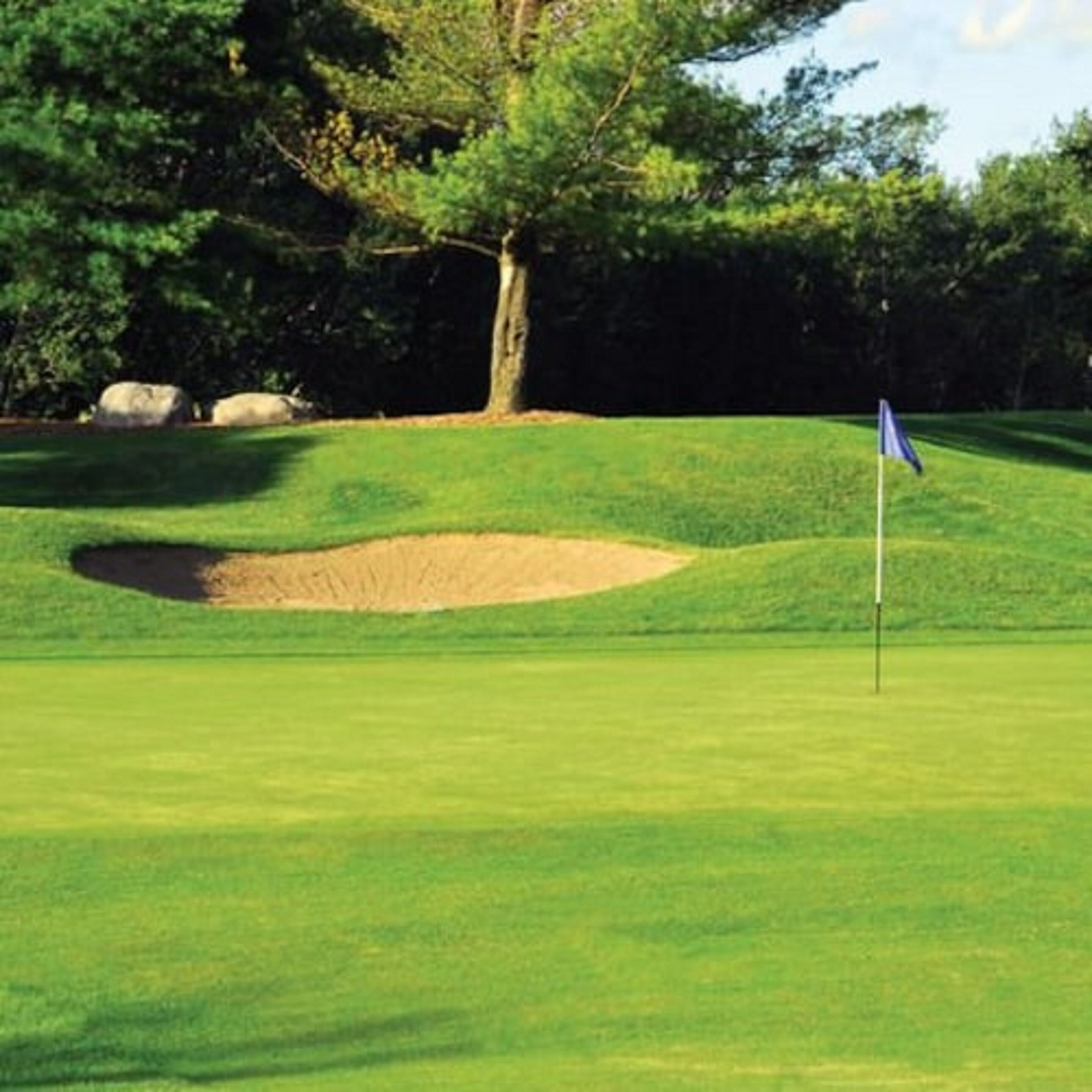 A well-maintained golf course with a flagstick, sand bunkers, and a large tree in the background.