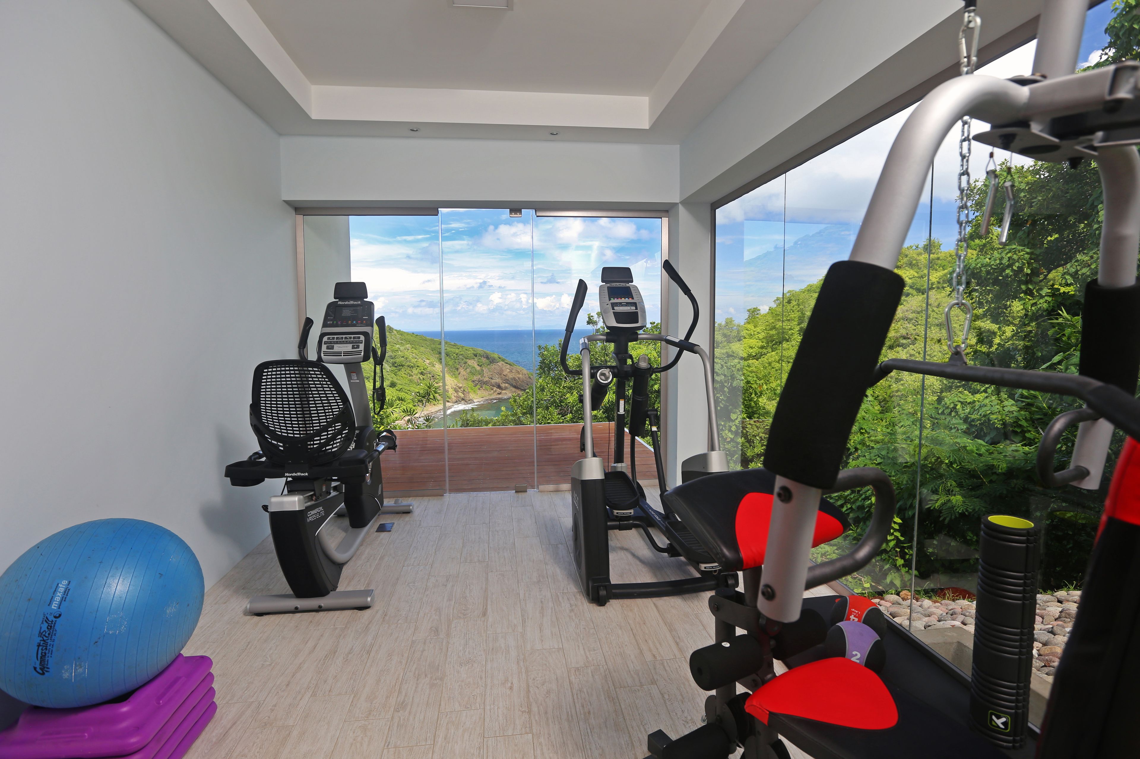 A home gym with exercise equipment, a blue exercise ball, and a view of a mountainous landscape through large windows.