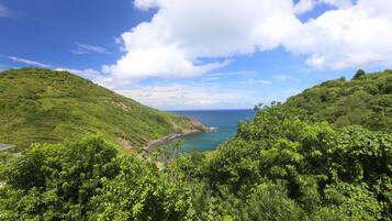 Vila superluxo, 4 quartos, vista para o oceano, ao lado da montanha | Vista do quarto