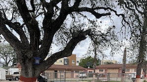 Children's play area - outdoor - Wildflower Inn & RV Park (Cuero)