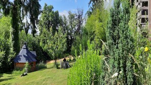 A rustic cabin with a conical roof, surrounded by lush greenery and tall trees.