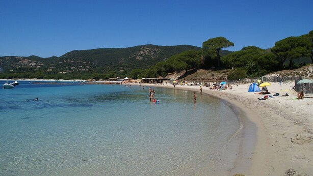 Ein Strand mit klarem Wasser, sandigem Ufer und Bäumen im Hintergrund.