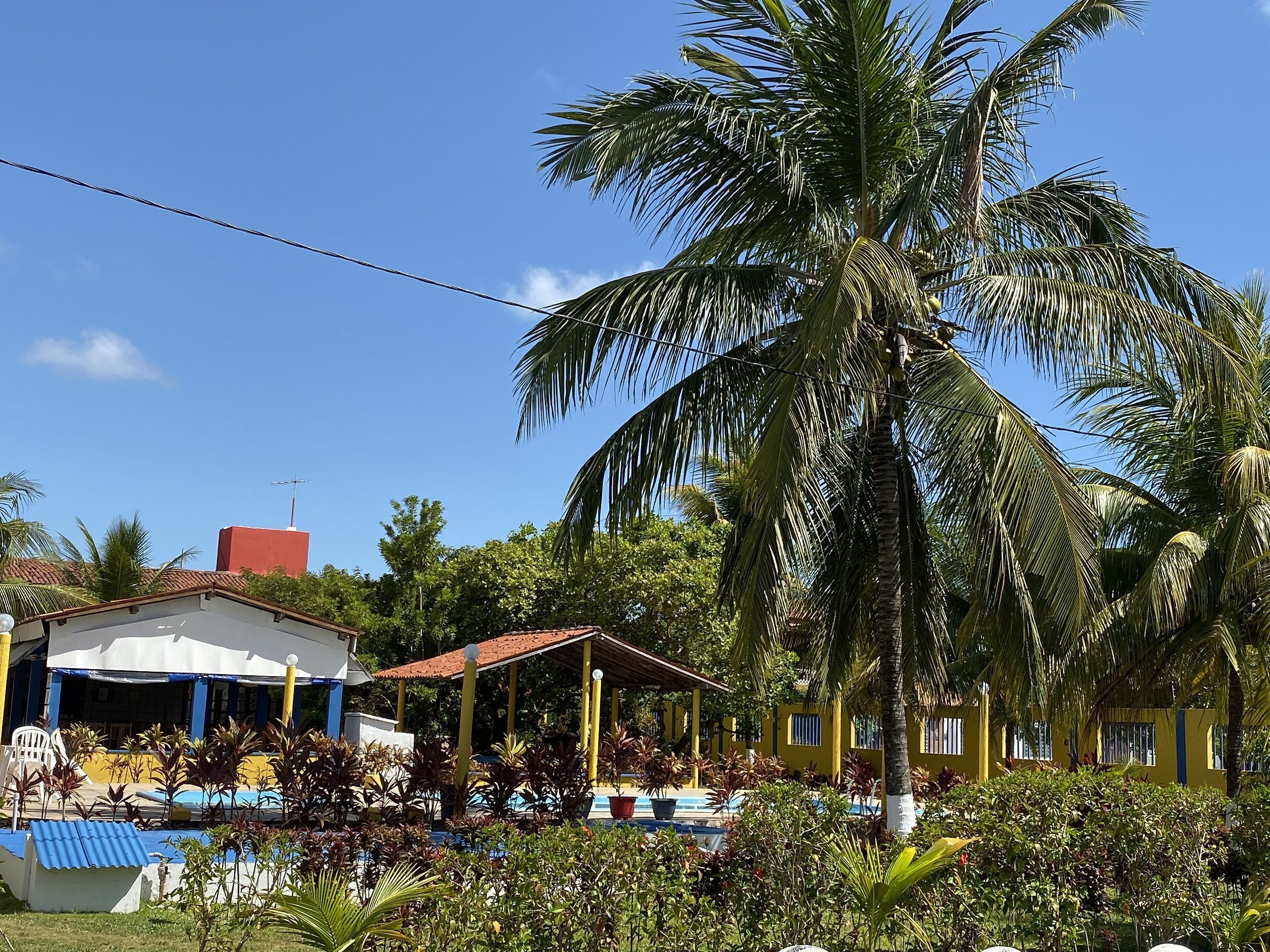 A pool area with a covered seating area, surrounded by lush greenery and palm trees.