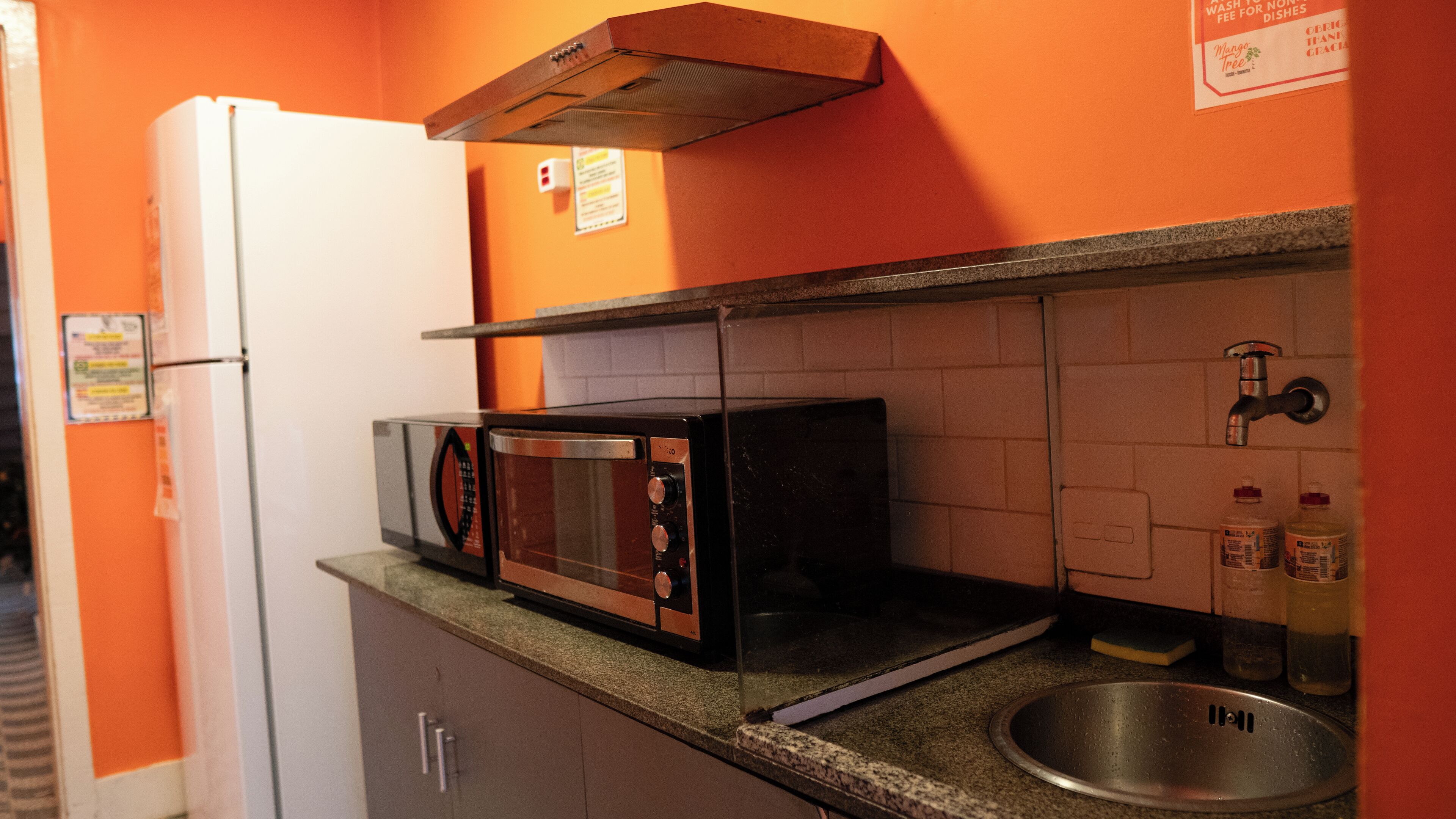 Photo - Mango Tree Ipanema