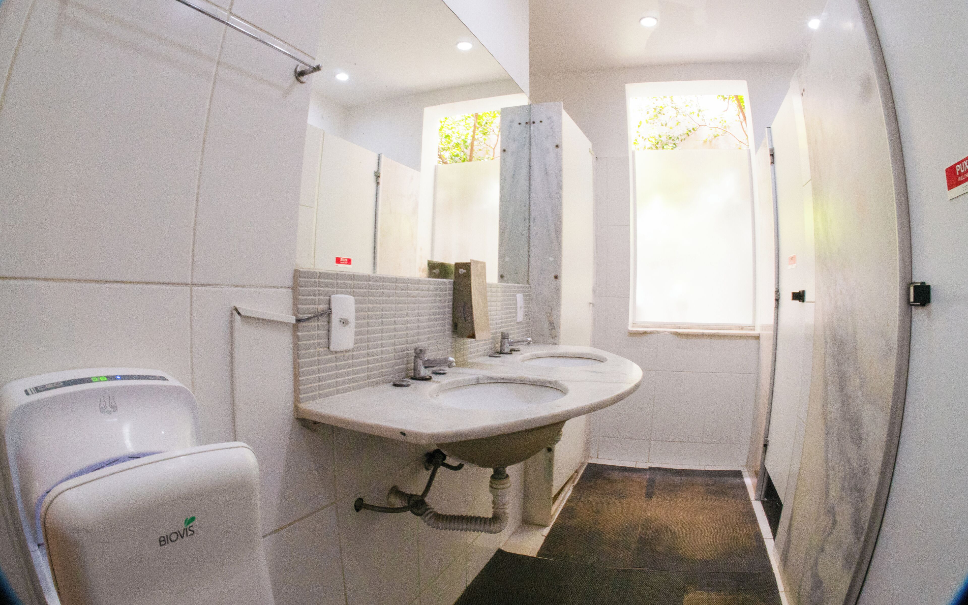 Photo - Mango Tree Ipanema