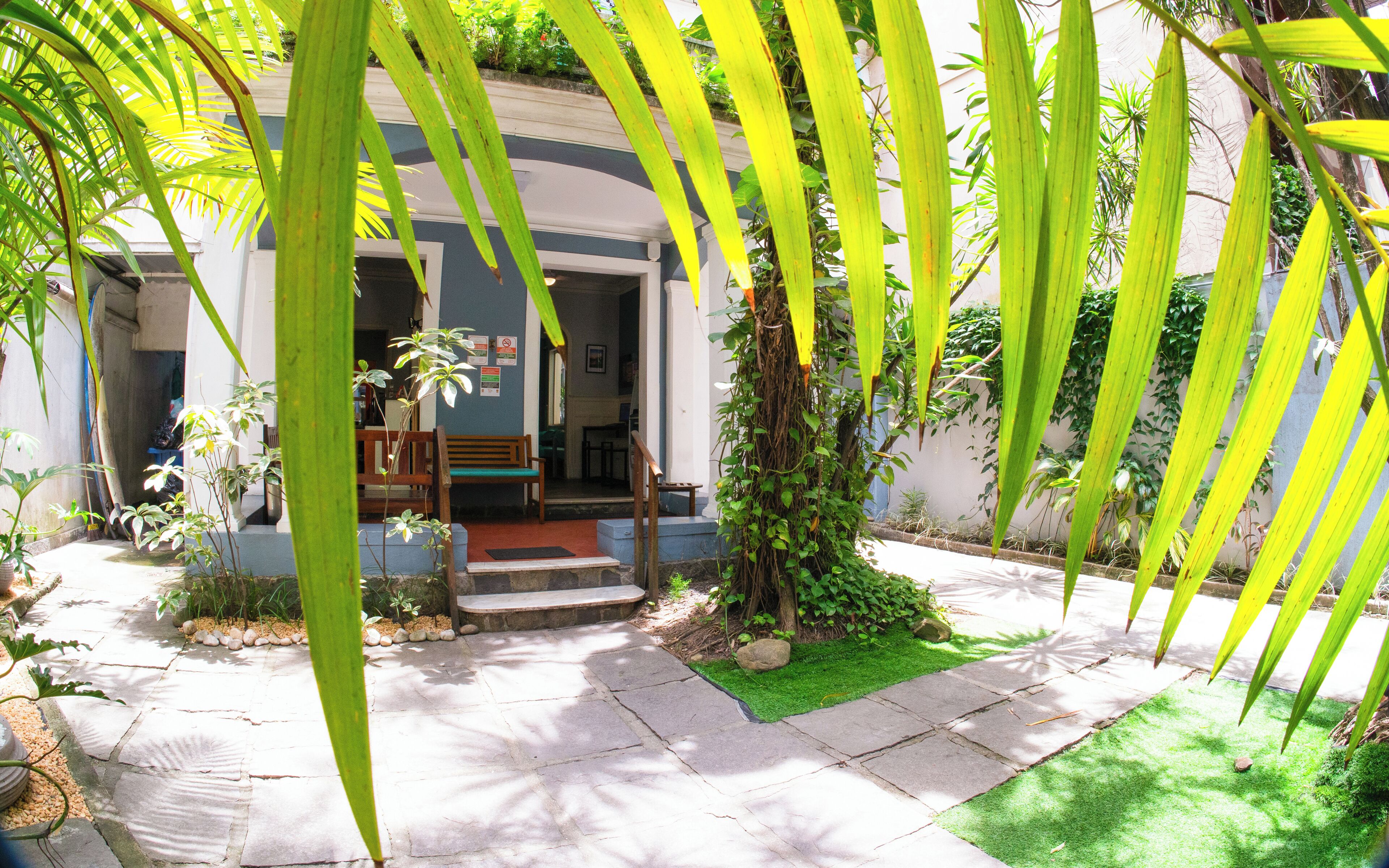 Photo - Mango Tree Ipanema