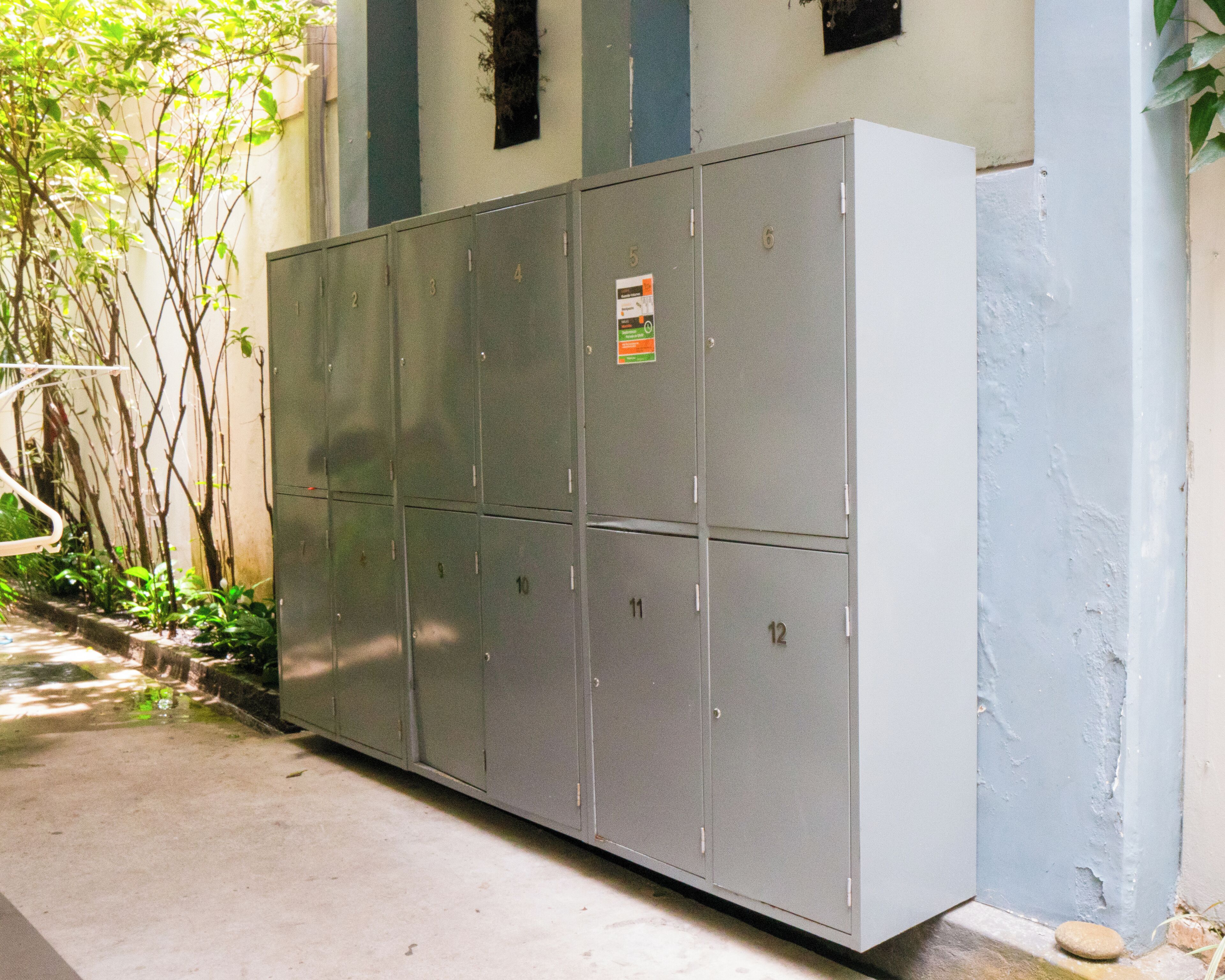 Photo - Mango Tree Ipanema