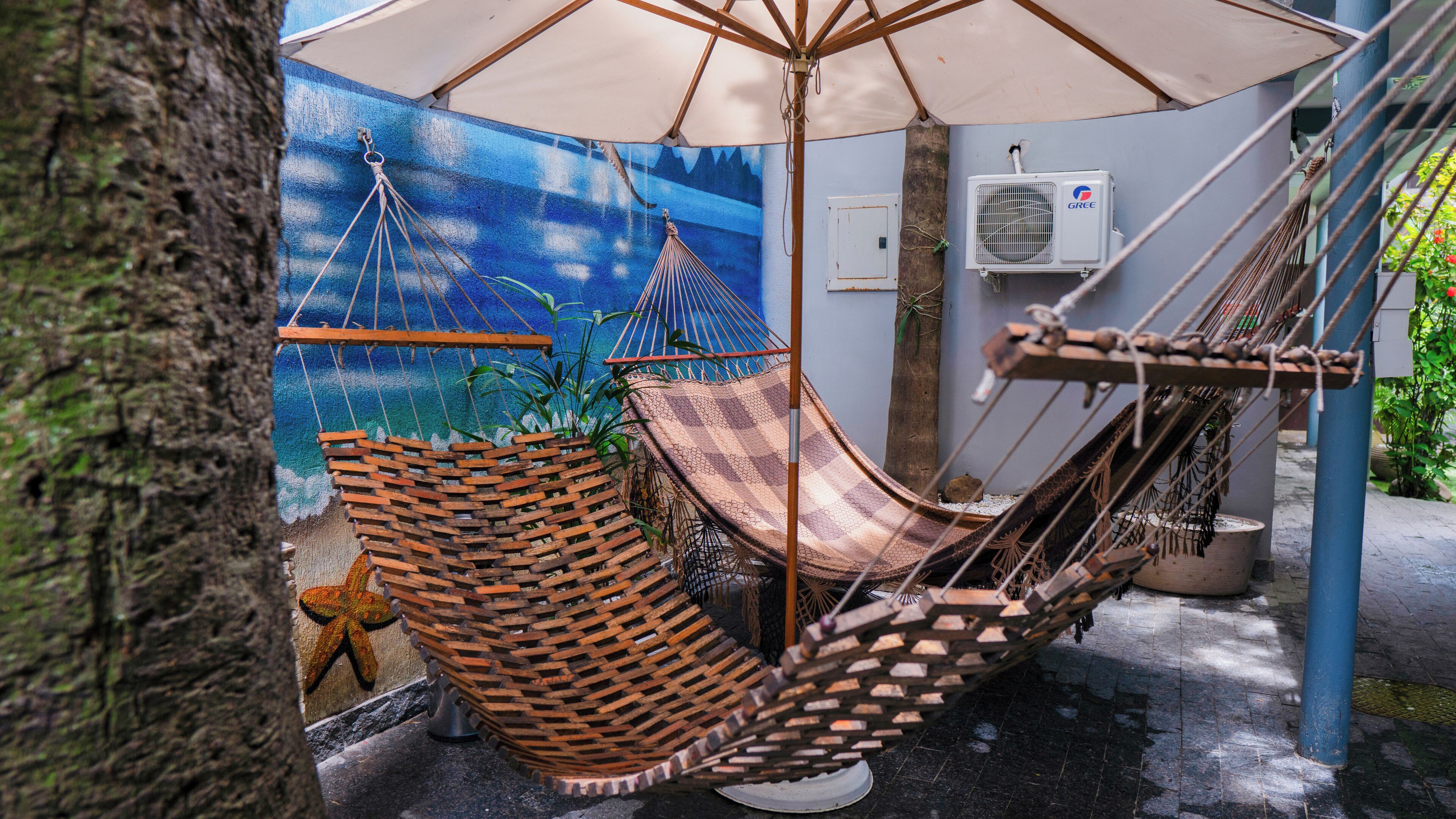 Photo - Mango Tree Ipanema