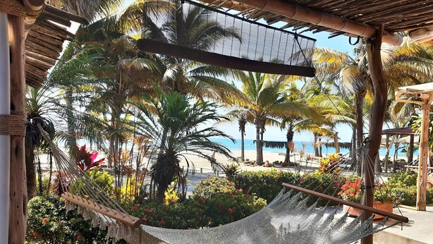 Una hamaca bajo una pérgola de madera, rodeada de exuberante follaje y palmeras, con vista a una playa.