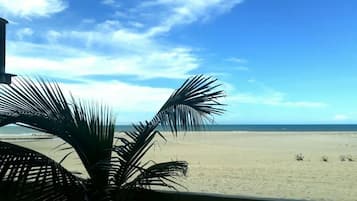 A beach view with a palm tree in the foreground and a clear sky.