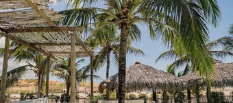 Zebra Boutique Hotel