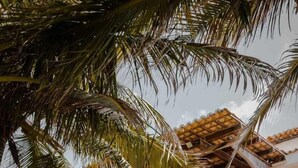 A wooden staircase leading to a balcony with a thatched roof, surrounded by lush greenery. - Zebra Boutique Hotel (Beberibe)