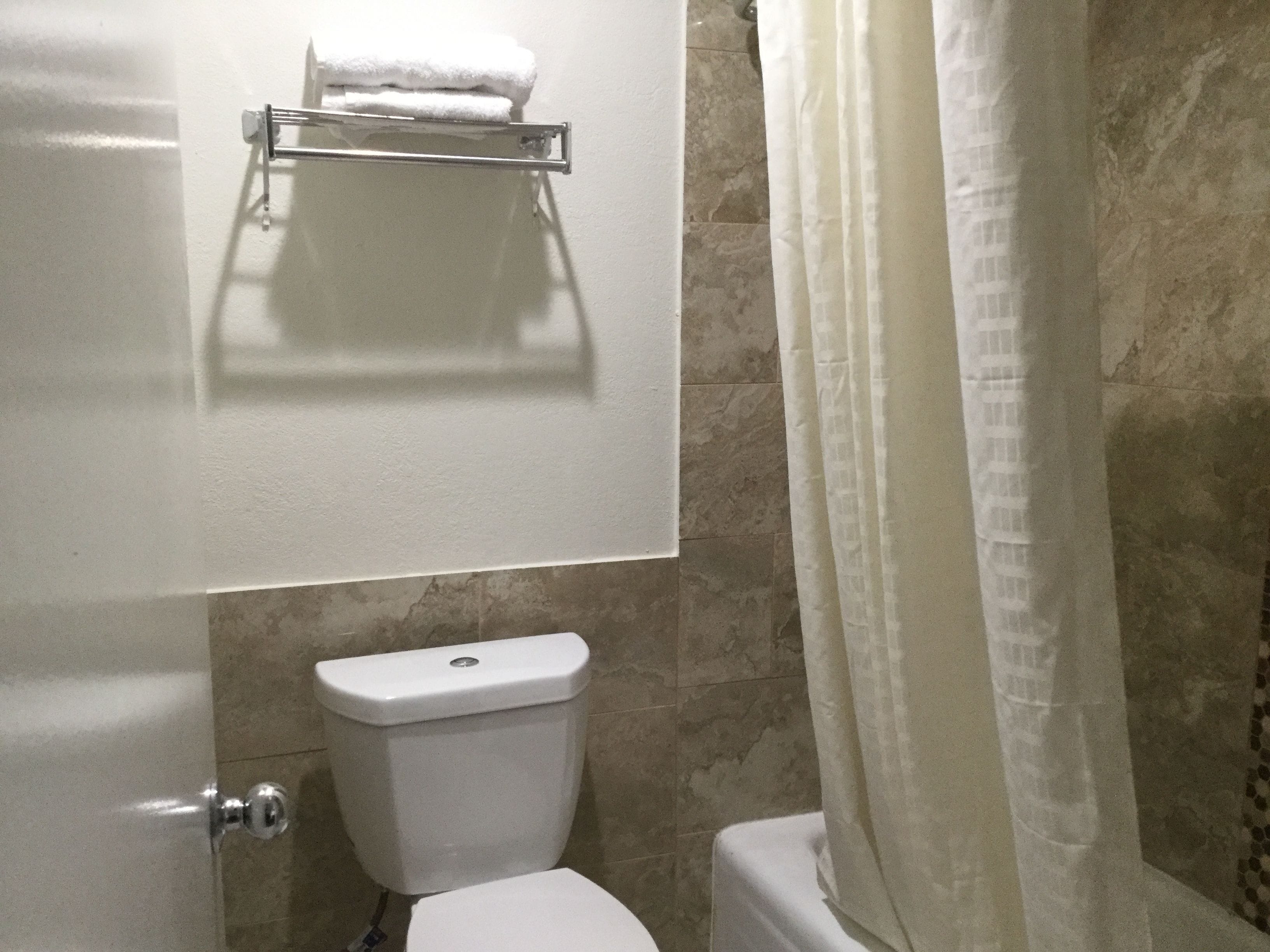 Une salle de bain équipée de toilettes, d’un porte-serviettes et d’un rideau de douche.