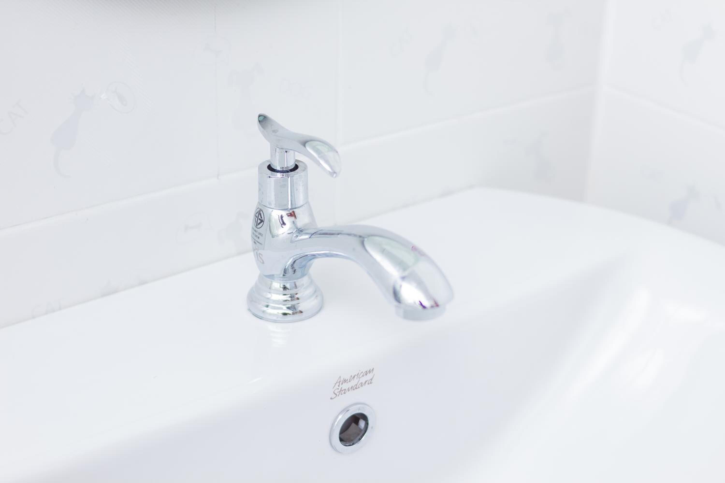 shower, free toiletries, bidet, towels