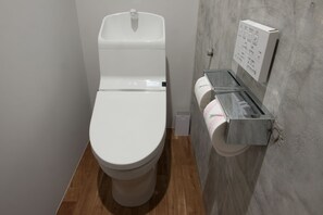 Shower, hair dryer, slippers, bidet