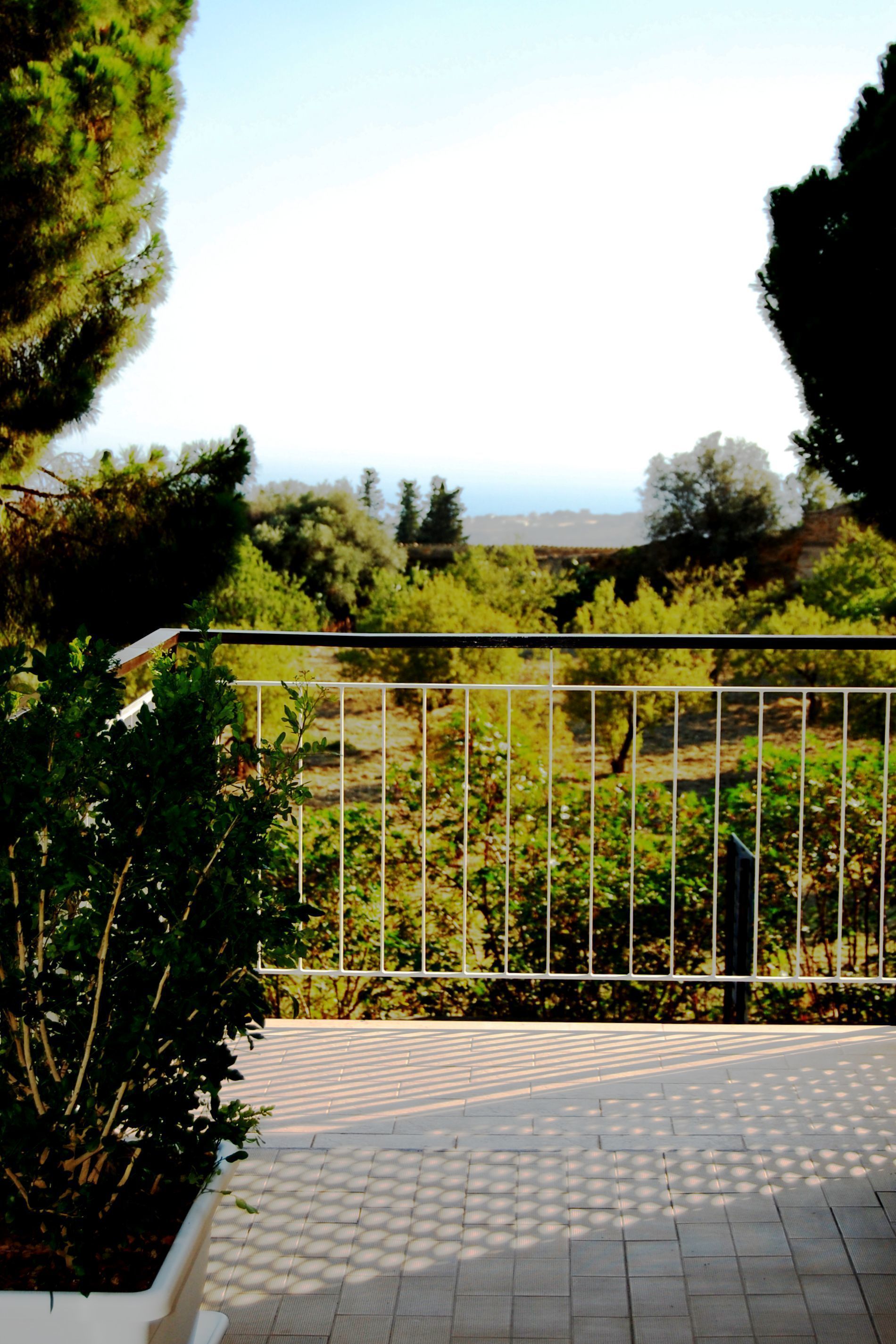 Photo - I Segreti della Valle