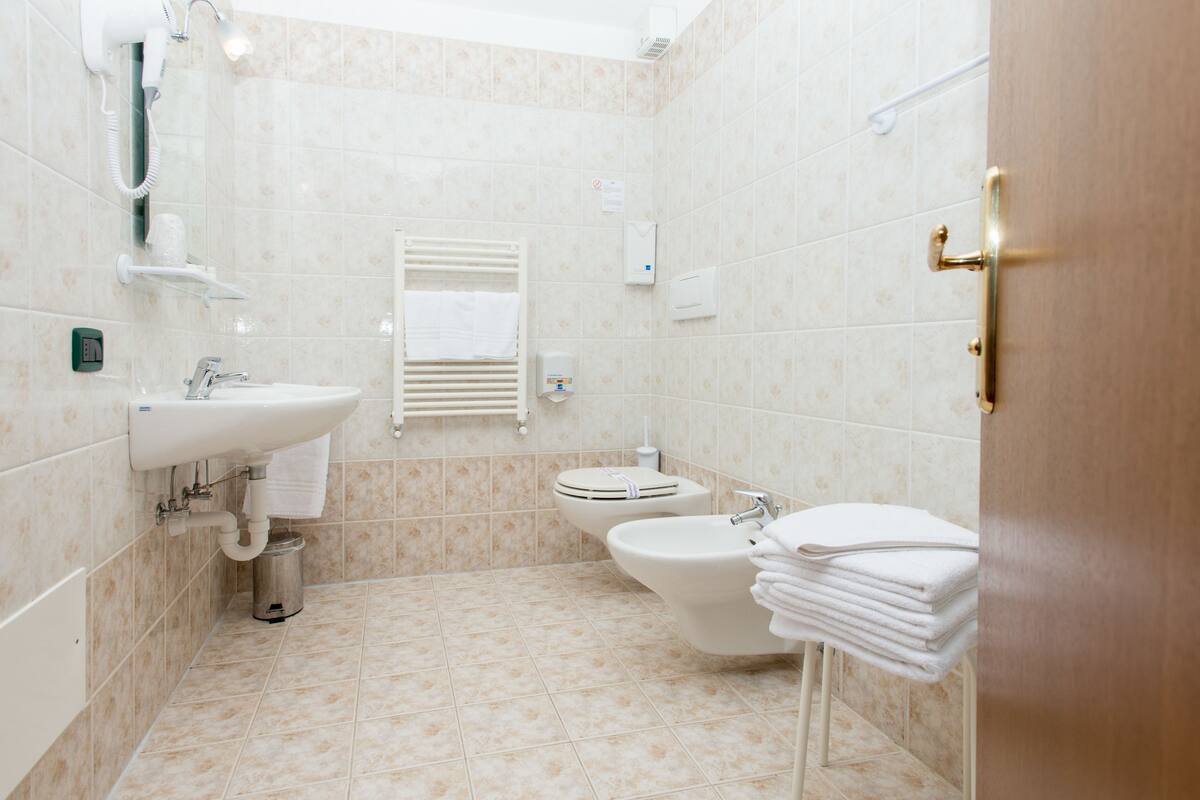 shower, hair dryer, bidet, towels