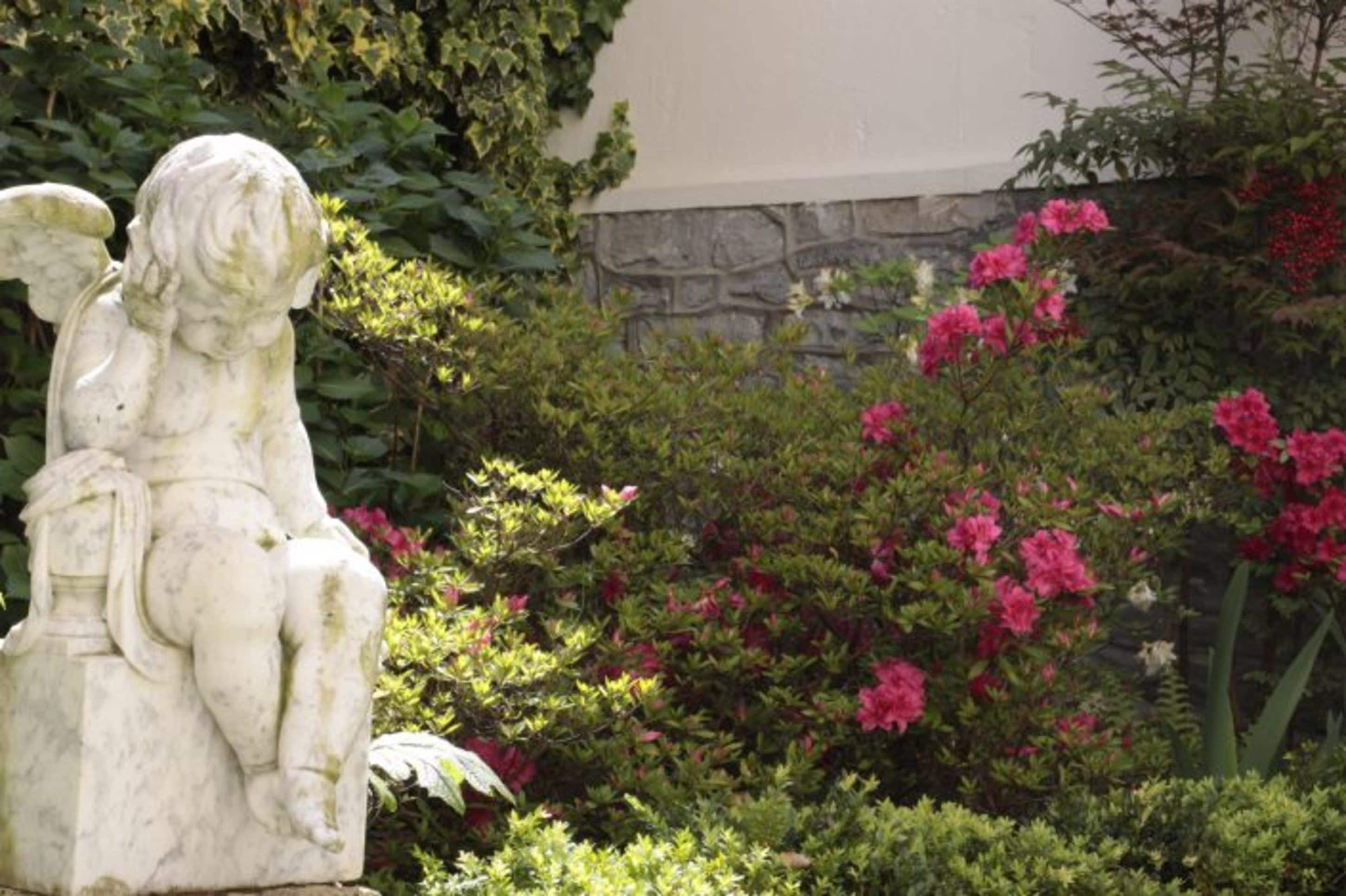 Foto - Hôtel Maïtagaria