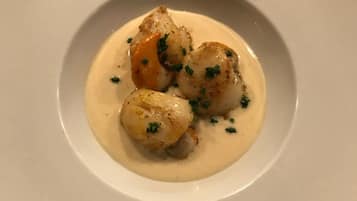 Un plato de vieiras con salsa cremosa, adornado con hierbas.