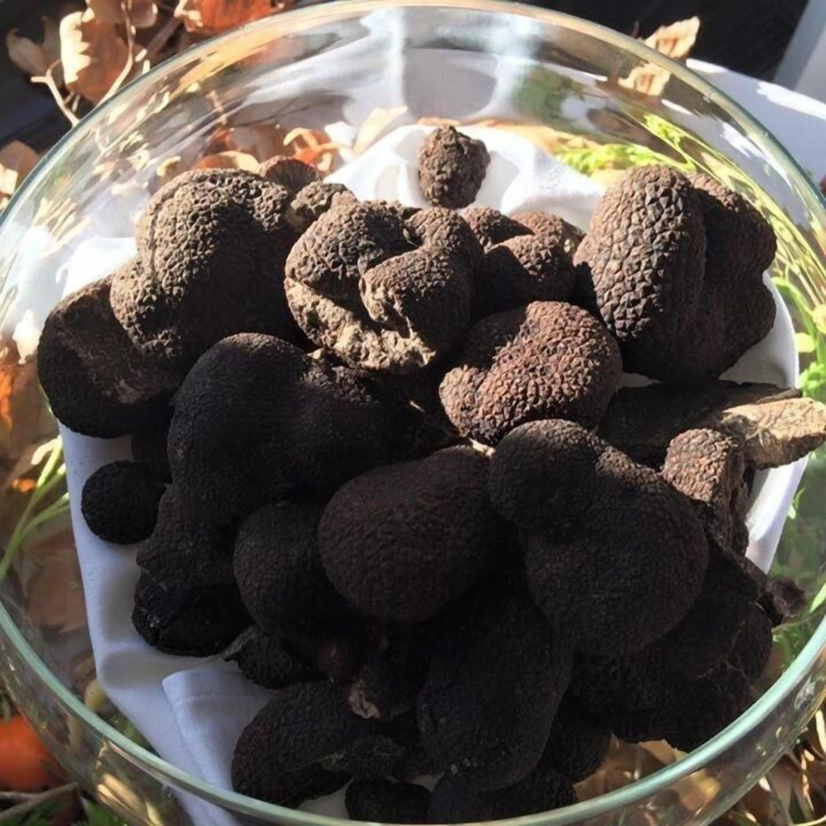 breakfast, lunch and dinner served