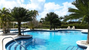 A clear blue swimming pool with a tiled edge, surrounded by palm trees and lounge chairs.