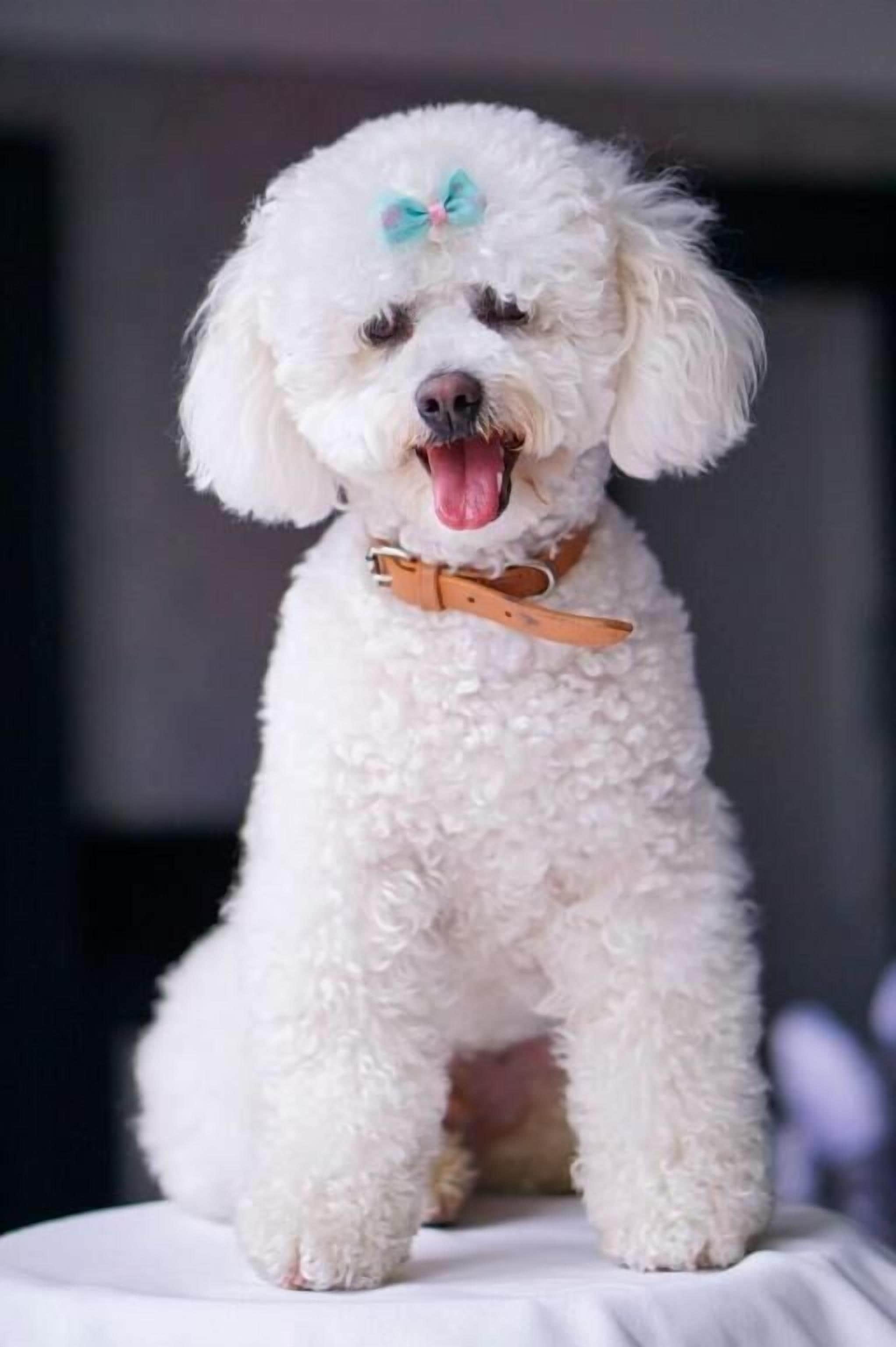 Foto - The Reserve at Muckross Park