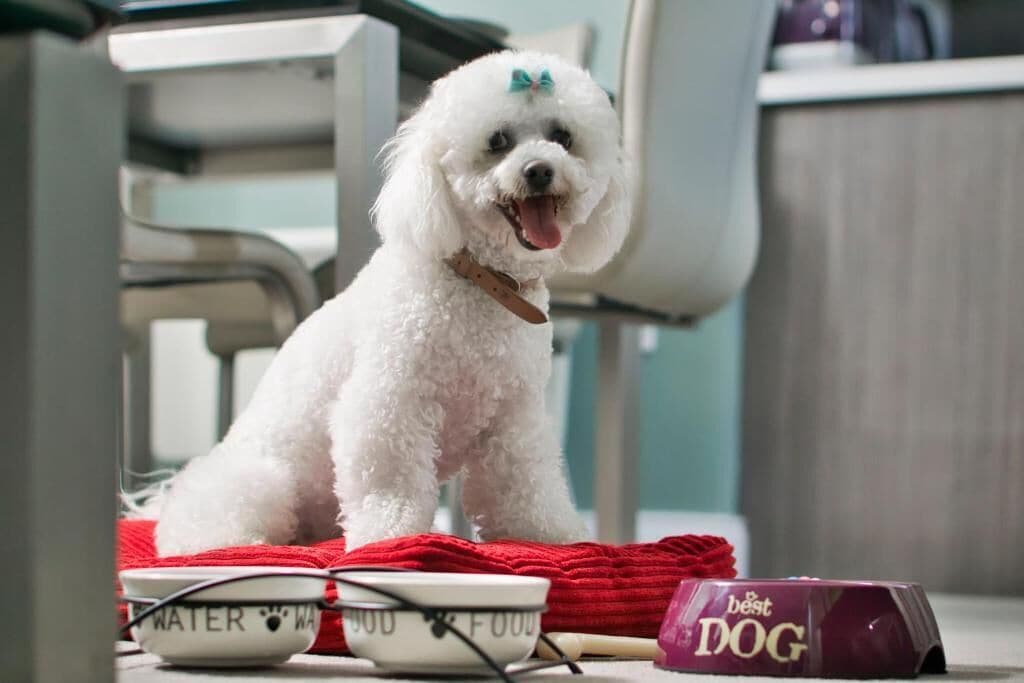 Foto - The Reserve at Muckross Park