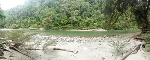 Private beach - Playa Selva Lodge (San Pablo de Ushpayacu)