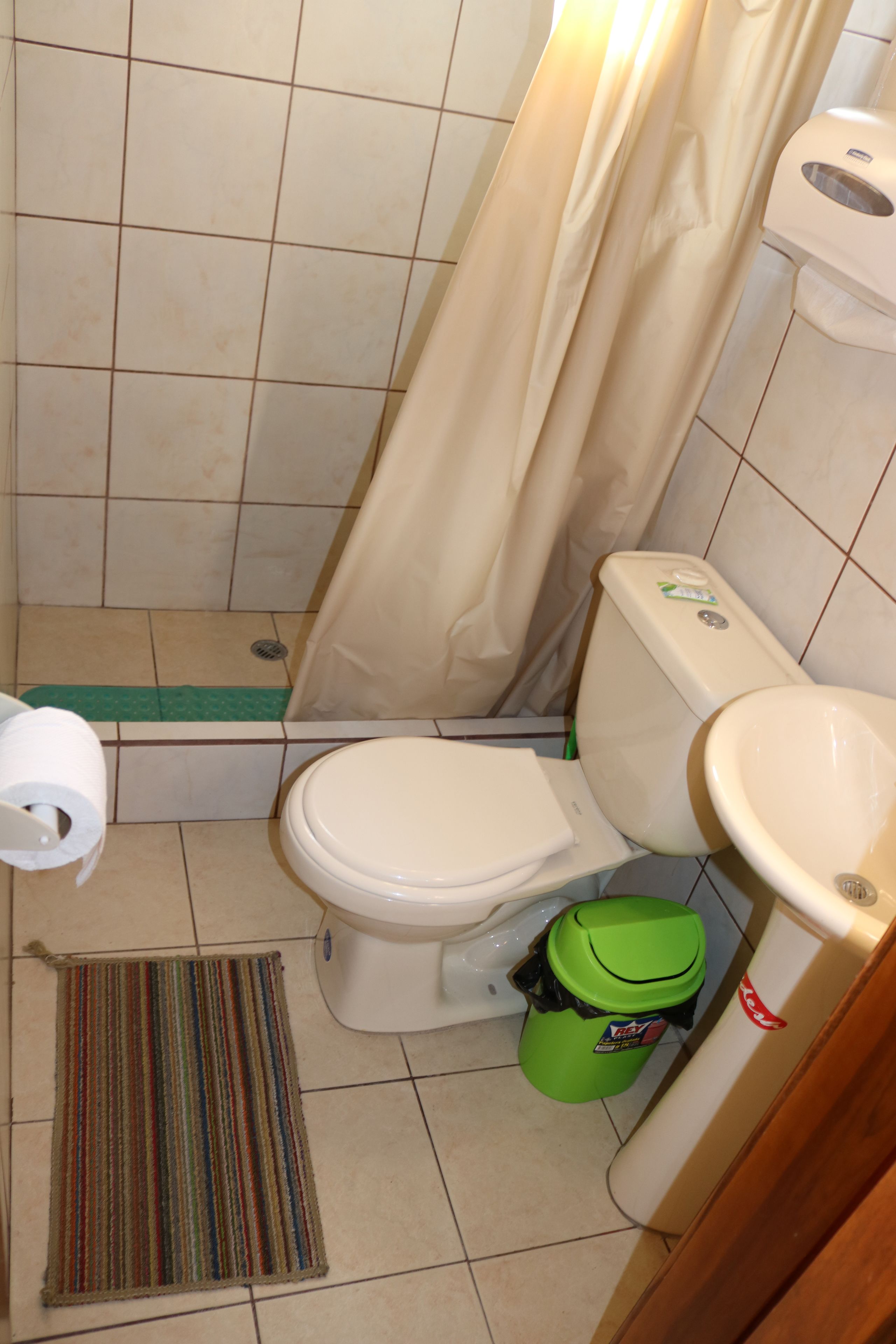 Un baño pequeño con inodoro, lavamanos, un cubo de basura verde y un felpudo a rayas.