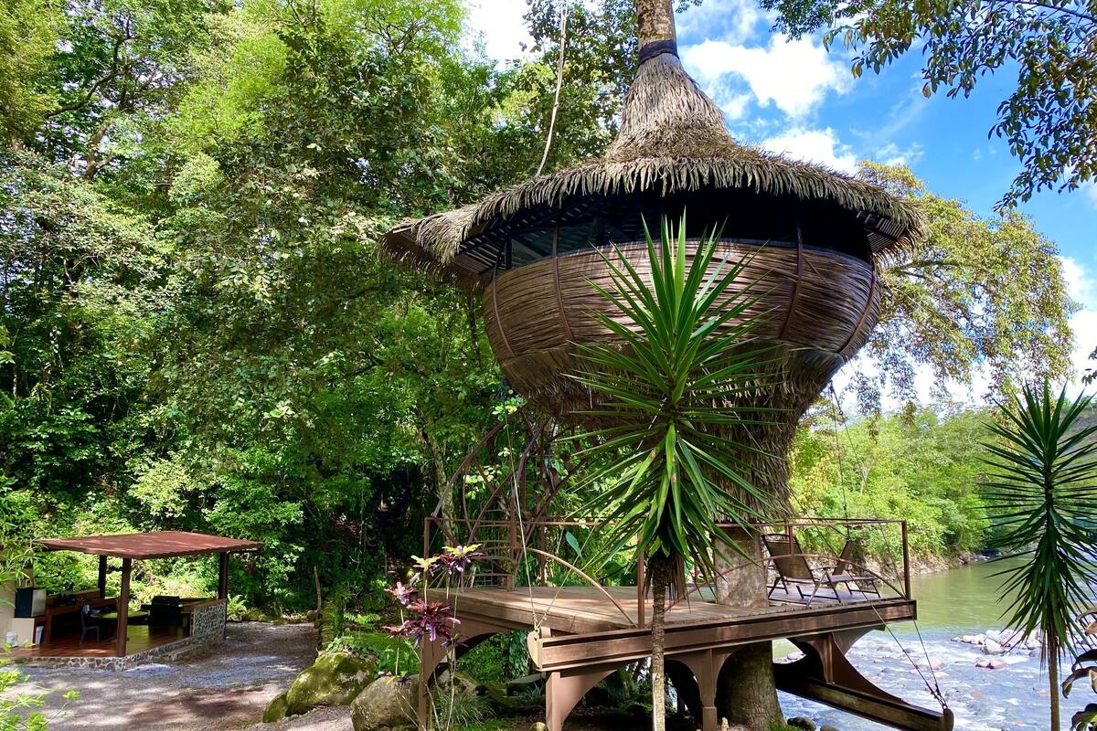 A thatched-roof structure with a wooden deck, surrounded by lush greenery and a river.
