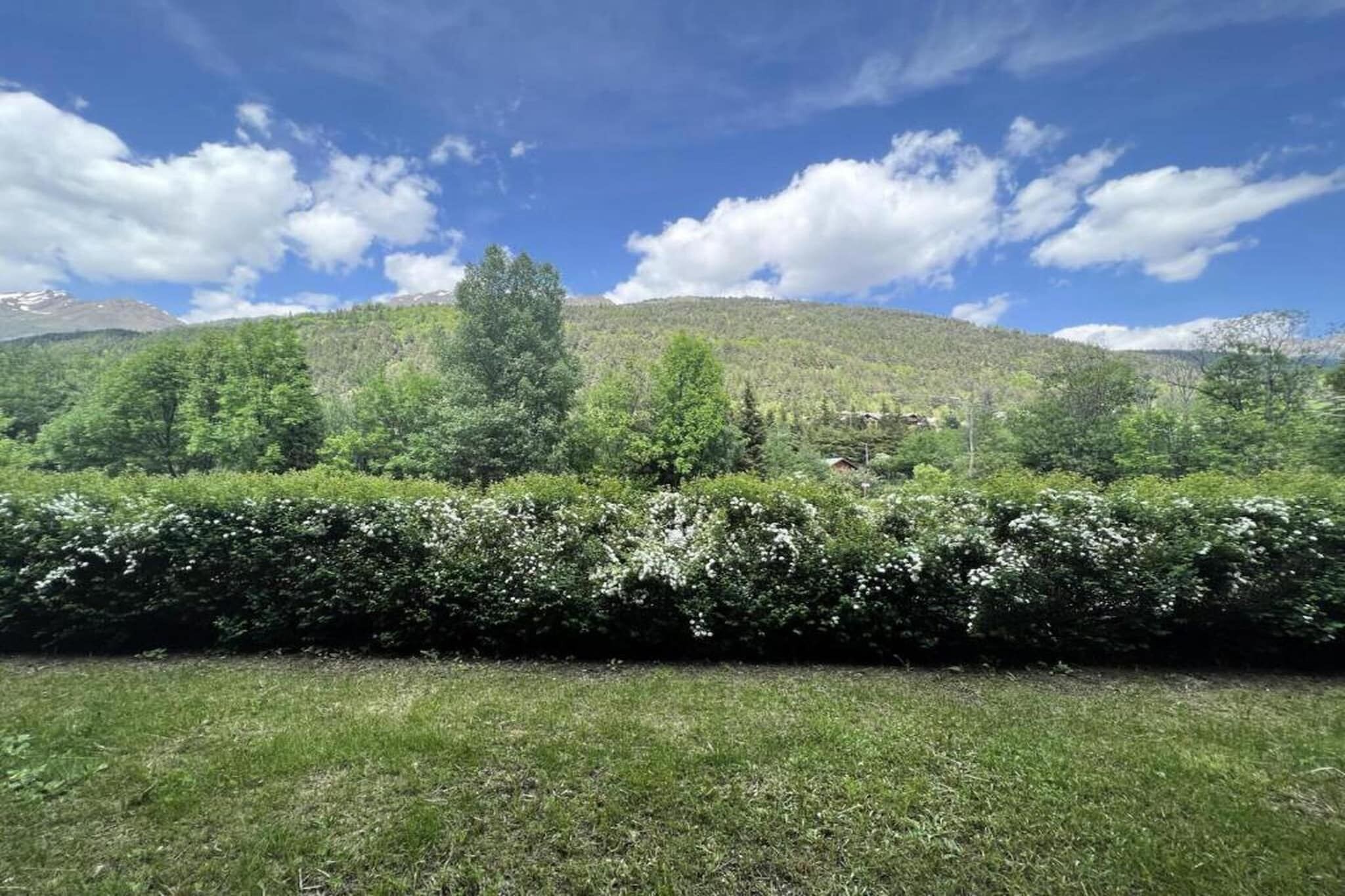 A grassy field with a hedge in the foreground and a mountain in the background.