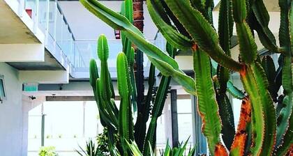 Hotel Puerto Chinchorro