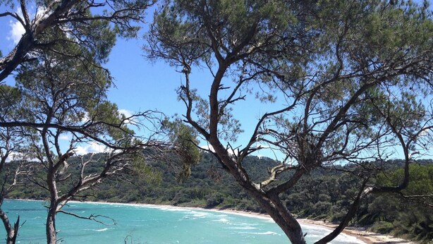 A coastal landscape with clear turquoise waters, a sandy beach, and dense pine trees. - Holiday Home in Carqueiranne by the Sea (Carqueiranne)
