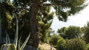A coastal landscape with a stone wall, trees, and a view of the sea. - Holiday Home in Carqueiranne by the Sea (Carqueiranne)