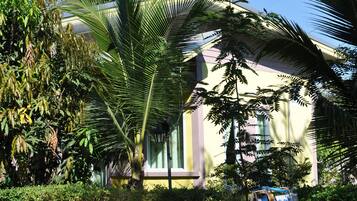 Ein Gebäude mit gelber Fassade, umgeben von üppiger Vegetation, darunter Palmen und dichtes Grün.