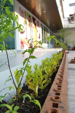 Jardines del alojamiento