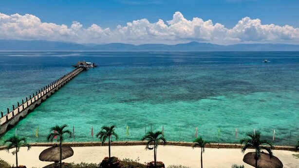 A coastal view with a pier extending into the sea, palm trees, and a clear sky.
