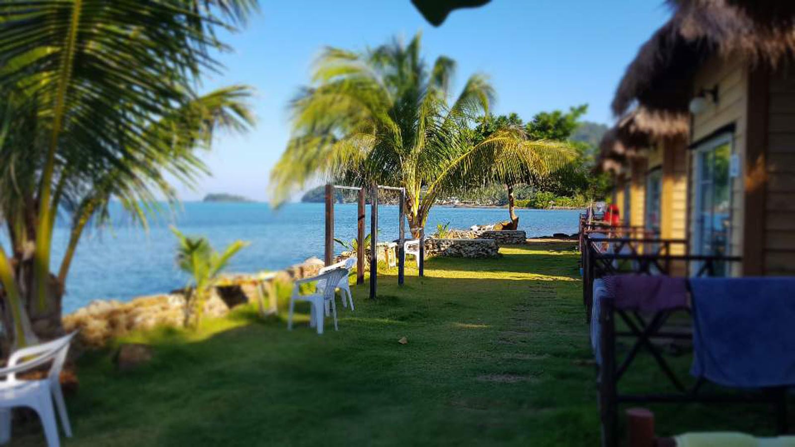 Un espacio tropical al aire libre con una estructura de techo de paja, una piscina y palmeras.