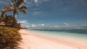 Una playa con agua turquesa cristalina, palmeras y una orilla arenosa.