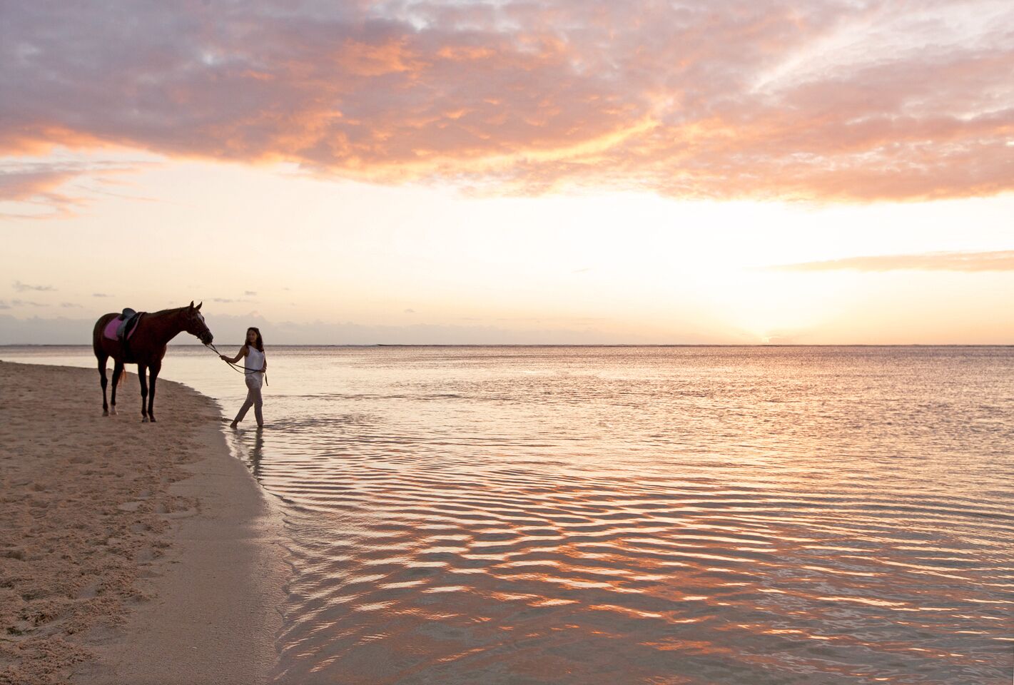 A beach scene with a horse and a person leading it, near the water's edge.