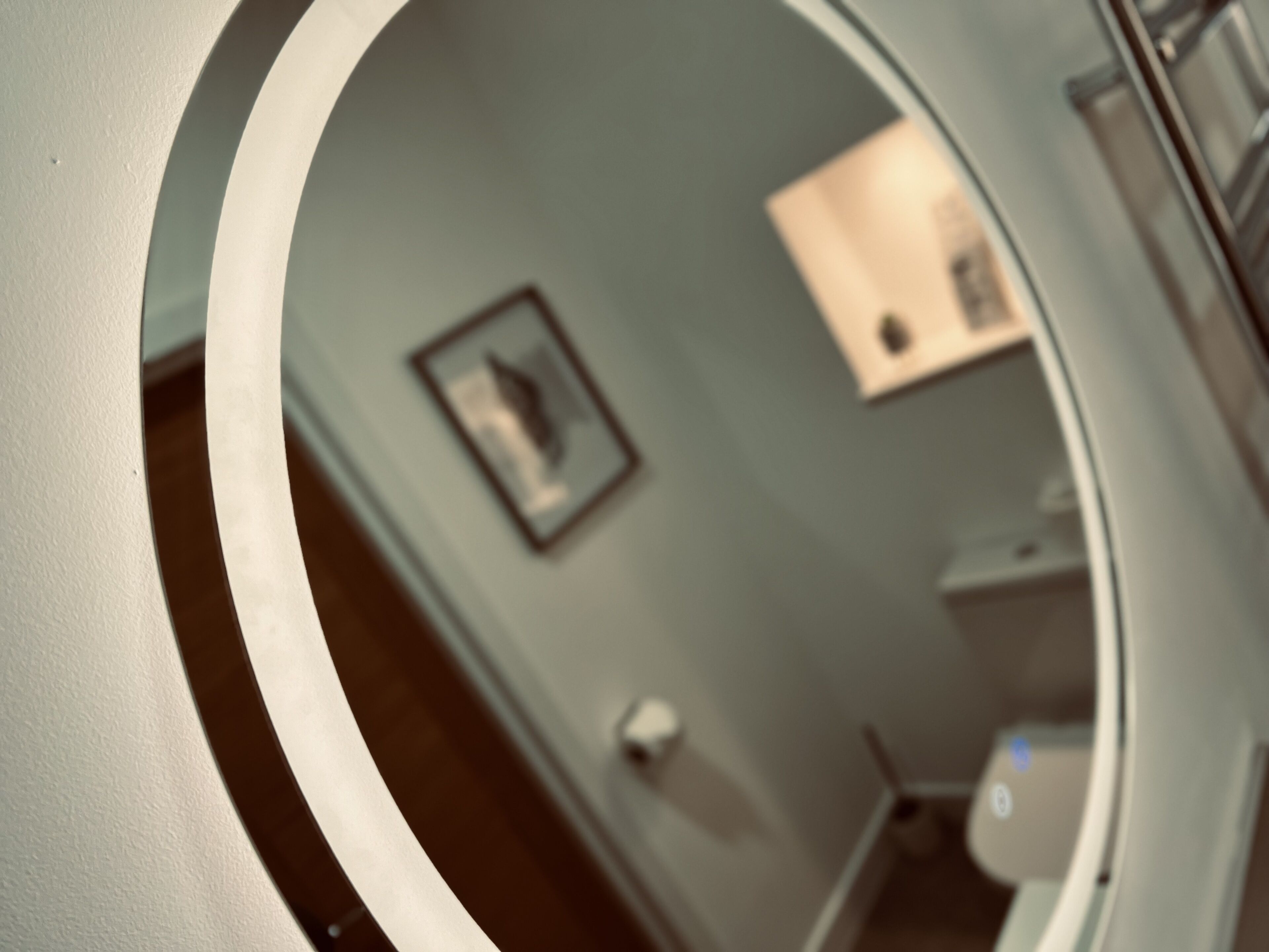 A circular view of a hallway with a framed picture on the wall and a door.