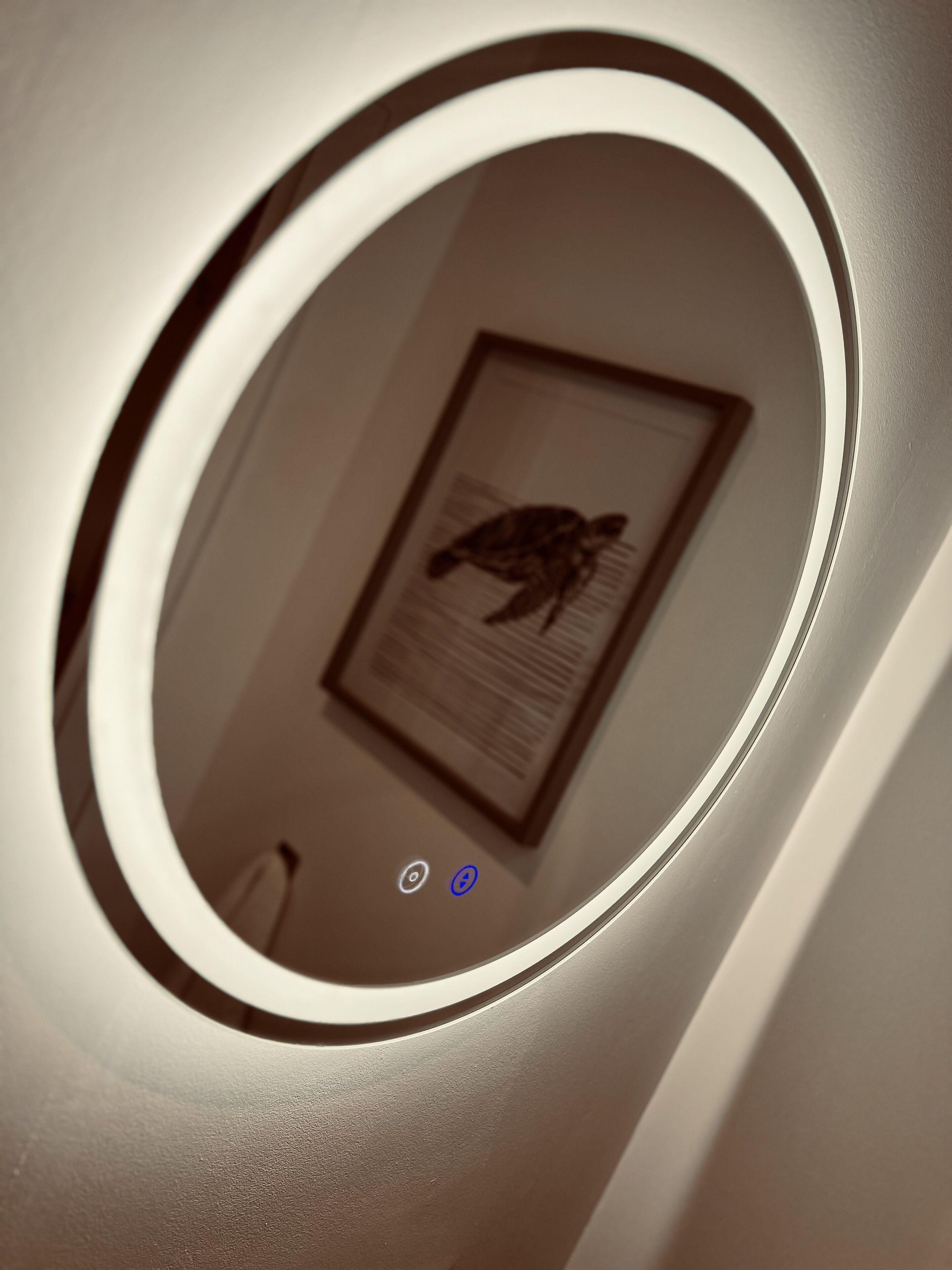 A circular window with a framed picture of a turtle.